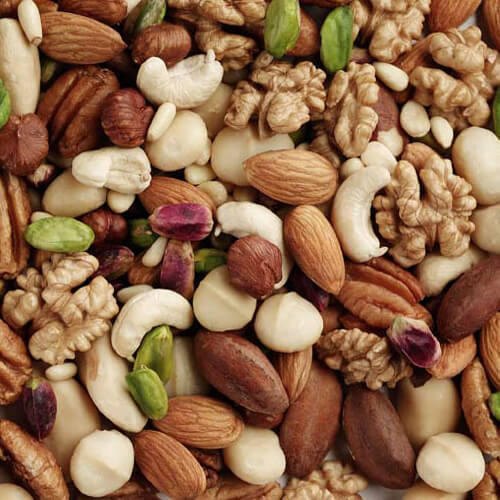 Edible Nuts